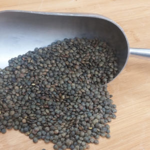 FrenchLentils