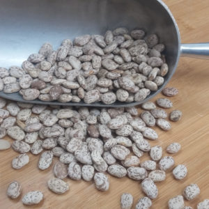 PintoBeansNonOrg